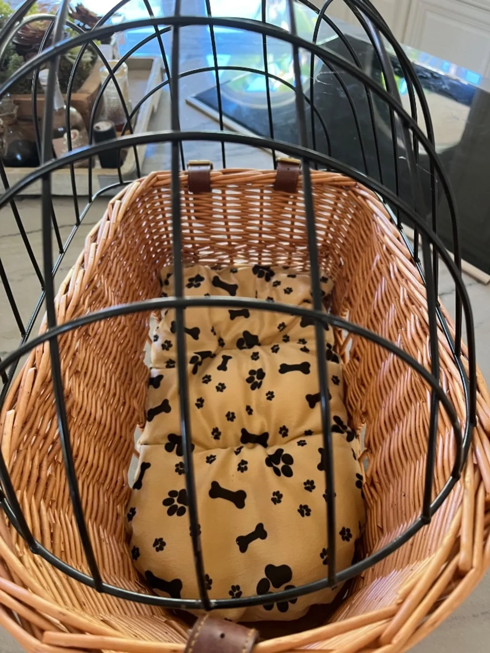Beach and Dog Co. Brand NEW rear mount bicycle basket for Dogs